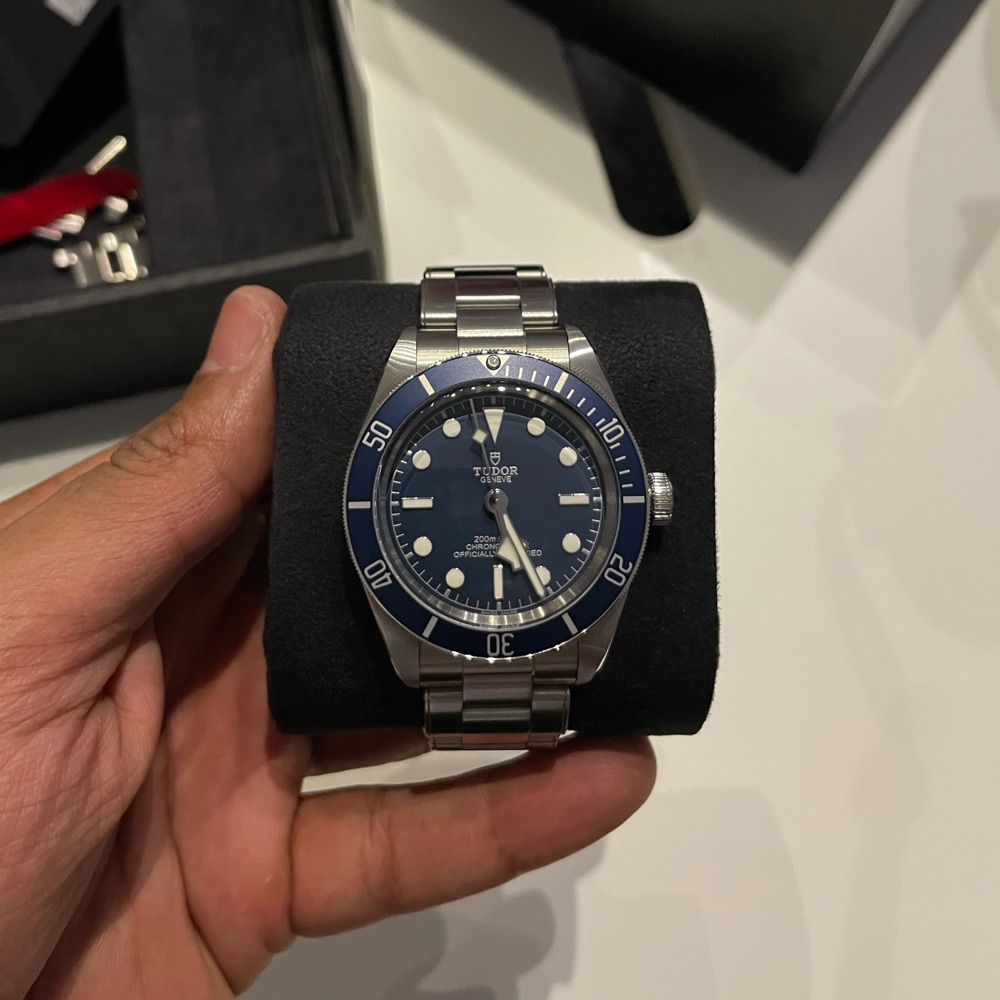 Tudor OTHER